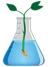 seed logo